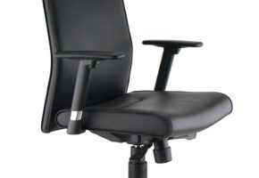 http://www.sudtertiaire.com/specific_files/7/0/6/fauteuil_direction_flex_1.jpg?update=20111003154937